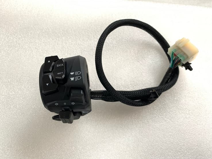 Sol Kumanda Paneli GP 250 Touring (Arora) yedek parça