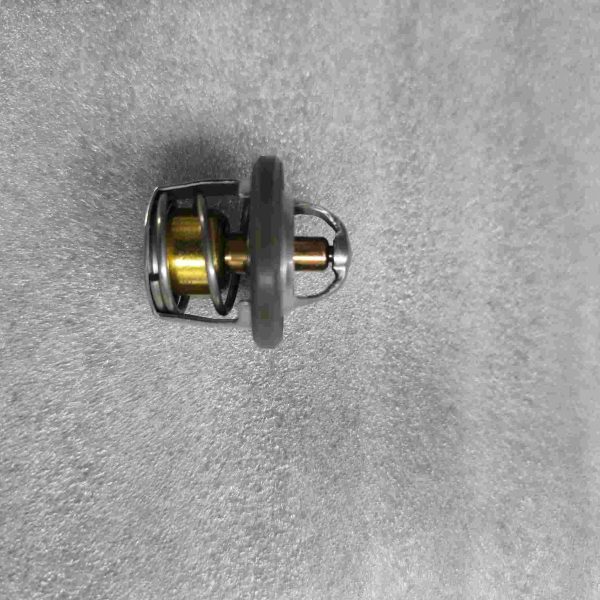 CHOPPER CP250 - TERMOSTAT CP250