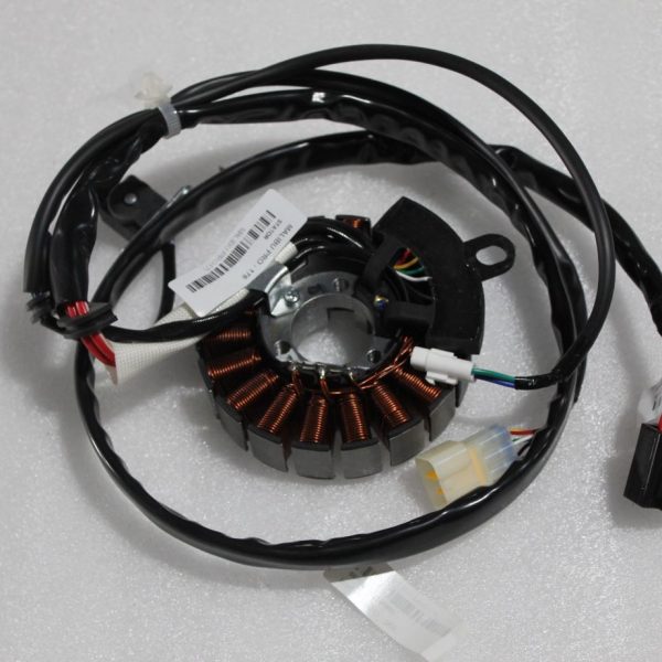 SCOOTER MALIBU PRO - STATÖR MALIBU PRO