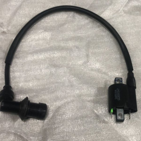 SCOOTER VERANO50 - ATEŞLEME BOBİNİ (EURO 5) AR50-6 CAPİROSSİ