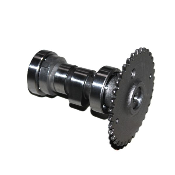 SCOOTER QUANTUM 125 - EKSANTRİK MİLİ VE DİŞLİSİ QUANTUM 125